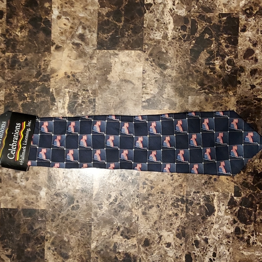 Men's tie American flag